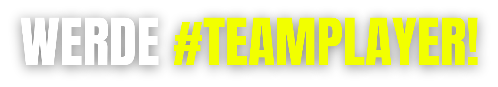 werde teamplayer
